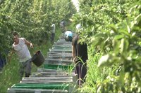 Riegos del Alto Aragón apoya las movilizaciones de organizaciones agrarias y cooperativas agroalimentarias