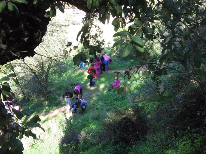 Escolares, en una actividad en el Parque Moret. 