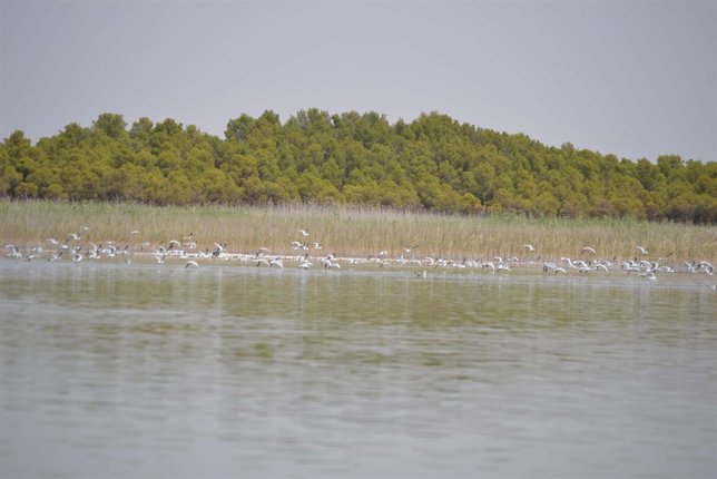 Lagunas Villafranca de los Caballeros