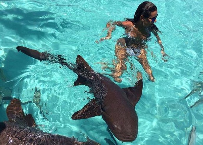 Ana Boyer, toda una chica valiente nadando entre tiburones 