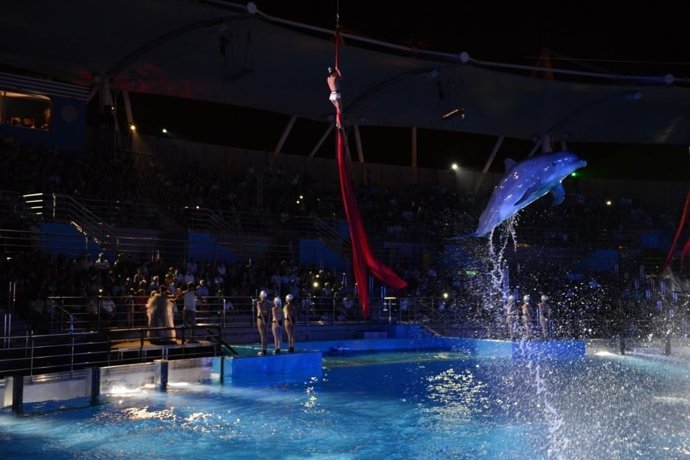 Exhibición nocturna en el Delfinario del Oceanogràfic