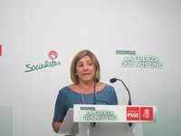 García (PSOE) reta al PP a ir a los tribunales con acusaciones por los cursos