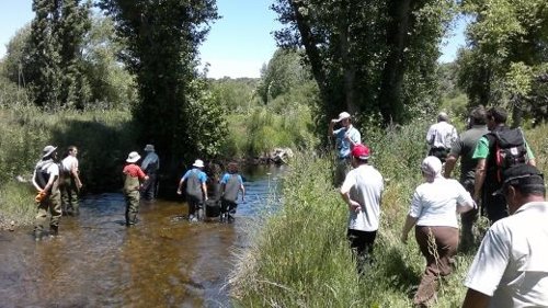 Jornada práctica en el río Corneja (Ávila) tras la eliminación de obstáculos