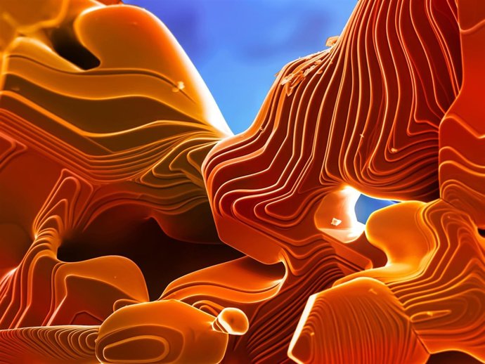 Segundo premio del certamen