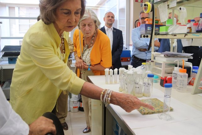 La reina Sofía en el laboratorio de la UIB