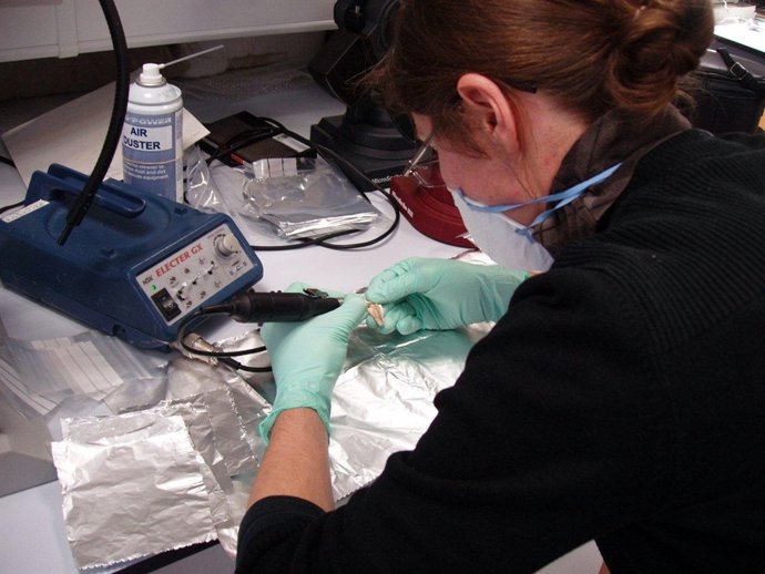 Toma de muestras para la datación