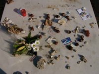 Cinco obras imprescindibles de Julio Cortázar en el orden que prefiera