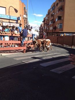 Encierro de San Sebastián de los Reyes