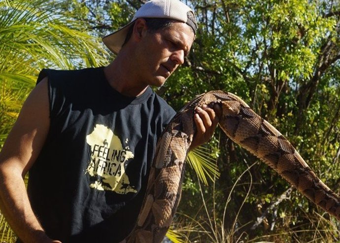 Frank cuesta viene a vitoria