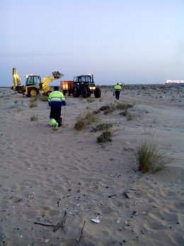 Labores de limpieza en la playa del Espigón de Huelva. 