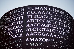 Genoma 