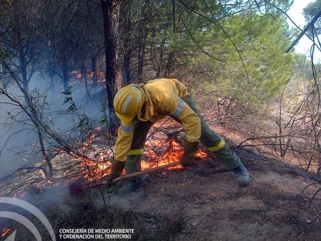 Efectivos del Infoca en el incendio declarado en Cartaya (Huelva)