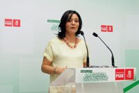 PSOE-A dice que trabaja "en cuerpo y alma" con IULV-CA en el Presupuesto y que "lo del adelanto electoral son rumores"