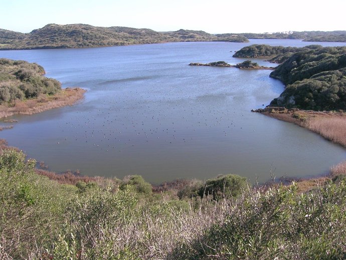 Sa Bassa en Menorca