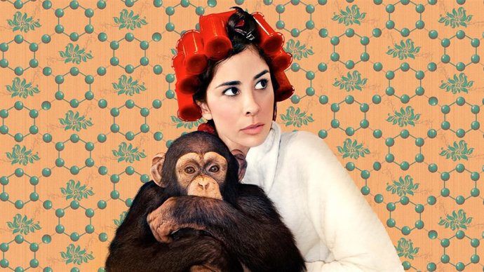 We Are Miracles de Sarah Silverman