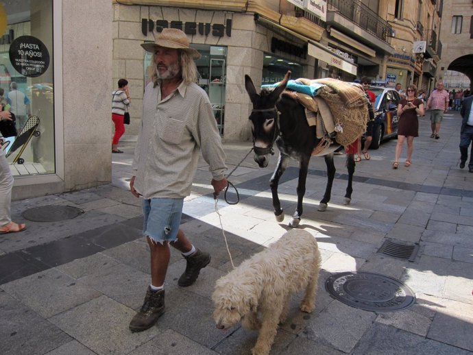El caminante junto al burro y el perro en la calle Toro de Salamanca.