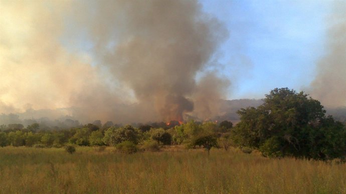 Incendio entre Mecerreyes y Puentedura