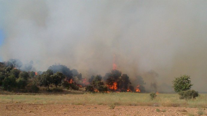 Incendio declarado entre Mecerreyes y Puentedura (Burgos)