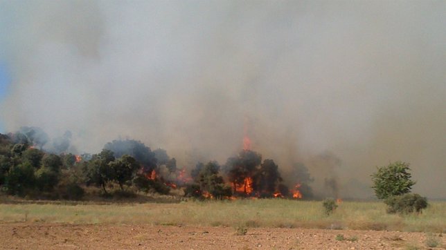 Incendio declarado entre Mecerreyes y Puentedura (Burgos)