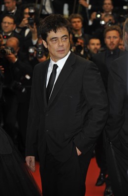 Benicio Del Toro