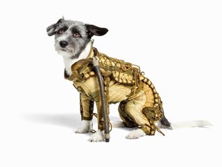 Traje espacial perruno