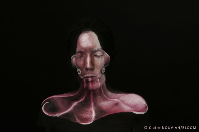 Ejemplar fotográfico de pintura corporal de un “pulpo Dumbo". 