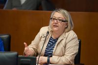 El PP en las Cortes de Aragón lamenta que el PSOE "solo se dedique a criticar, sin hacer propuestas"