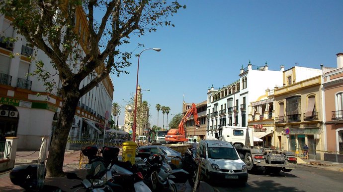 La calle Almirante Lobo luce ya sin árboles.