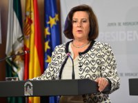 Sánchez Rubio asegura que "sea quien sea" el tutor del niño británico "la última palabra" la tienen los médicos