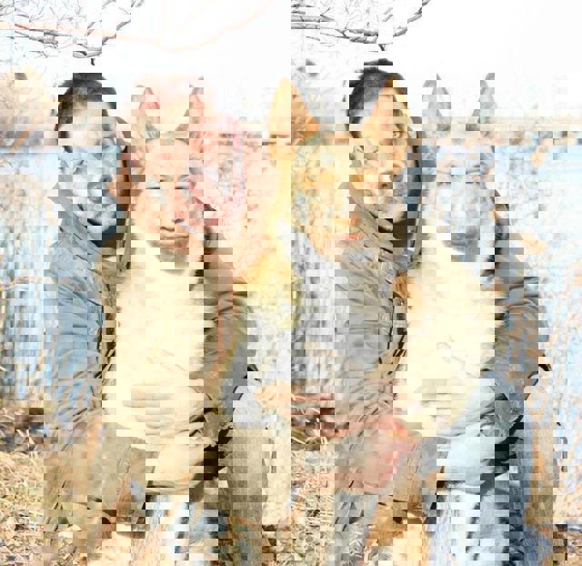 intercambio de caras