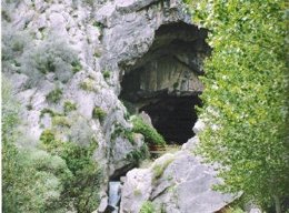 Cueva del Gato de Benaoján