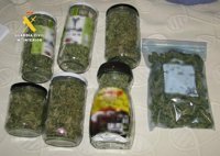 Dos detenidos en Burgos e incautadas diez plantas de marihuana de 25 kilos y 250 gramos de la misma sustancia