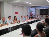 El PSOE iniciará una campaña en los ayuntamientos y las CCAA para frenar la reforma electoral del PP