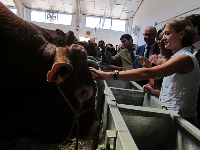 Isabel García Tejerina visita las instalaciones de 'Salamaq'