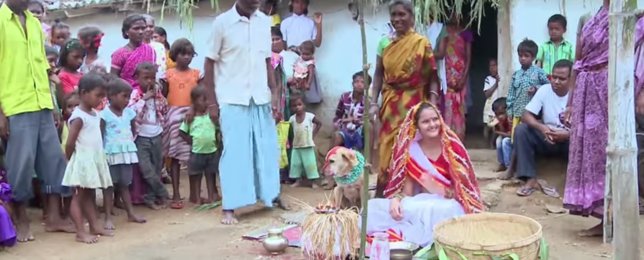 Joven india se casa con un perro para evitar la mala suerte