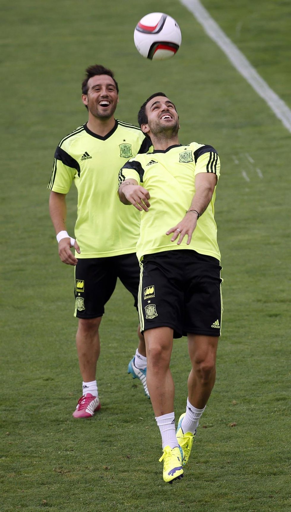 El centrocampista de la selección española Cesc Fábregas