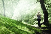 El turismo de interior absorbió en 2013 a "casi el 20%" de visitantes llegados a Andalucía