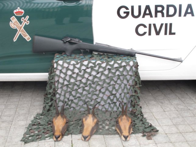 Foto de los rebecos incautados tras ser abatidos ilegalmente