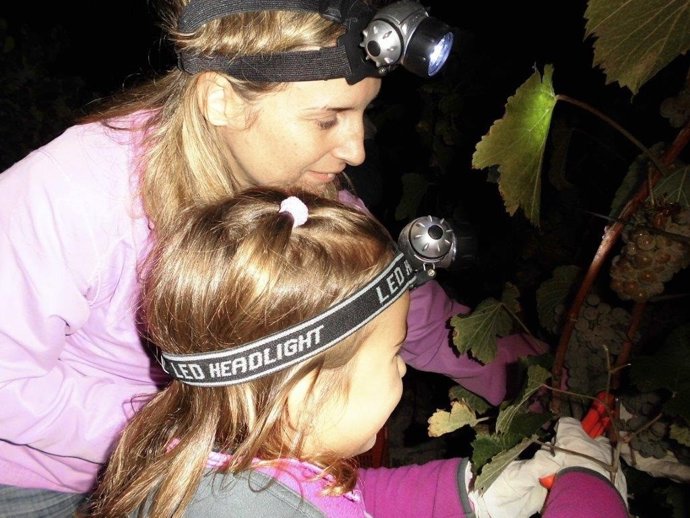 Participantes en la vendimia nocturna Pago de Tharsys.