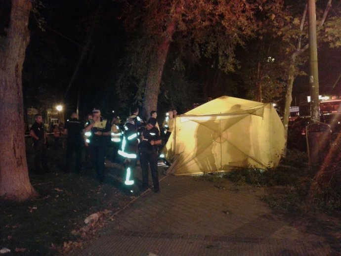 Fallece un hombre al caerle una rama en Santa Eugenia