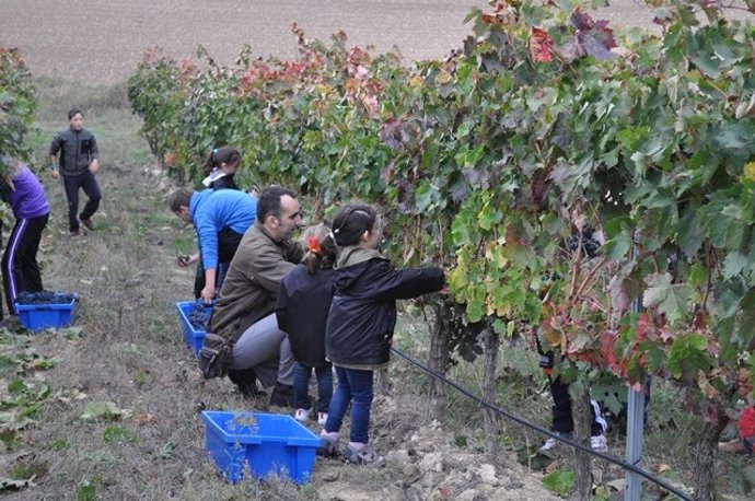 Niños vendimiando en el campo