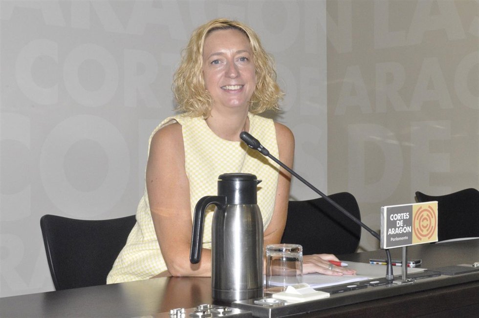 La portavoz del Grupo de IU, Patricia Luquin.