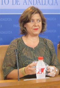 IU "no cierra la puerta" a una comisión de investigación sobre formación