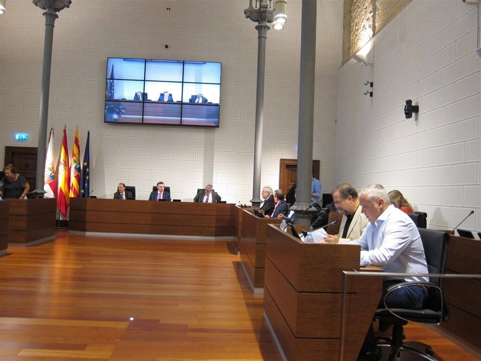 La DPZ ha celebrado pleno este miércoles