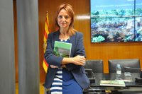 La tecnología será el elemento "más fructífero laboralmente" para Aragón en 2025, según un estudio