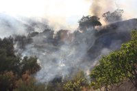 El incendio junto a la autopista de peaje en Mijas afecta a casi seis hectáreas