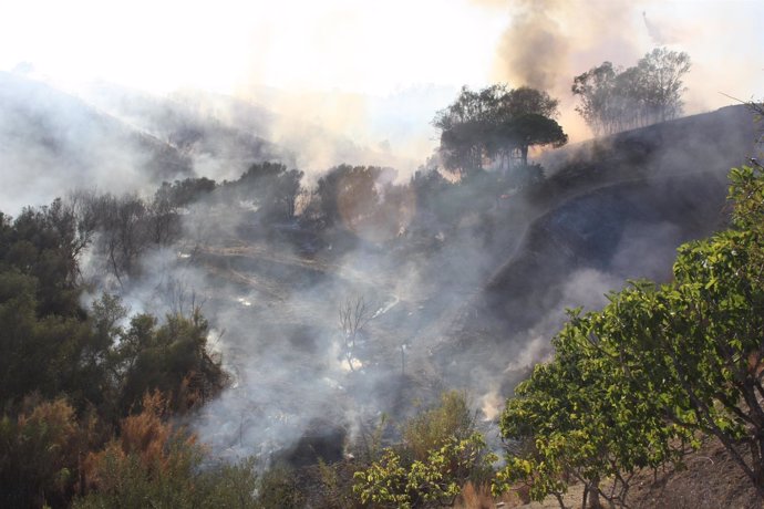 Incendio en El Hornillo, Mijas, AP-7, 9 de septiembre 2014
