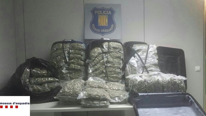 Intervenidos 76 kilos de droga en Tarragona