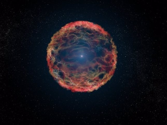 Estrella compañera de supernova