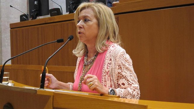La consejera Serrat en las Cortes de Aragón